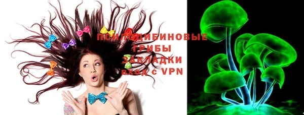 PSILOCYBIN Алексин