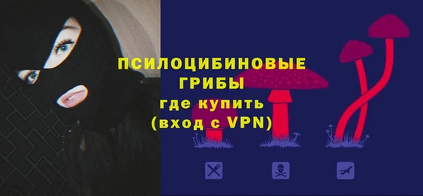 PSILOCYBIN Алексин